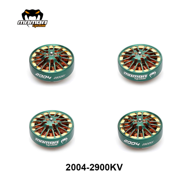 MAMBA TOKA 2004 1700KV/2900KV Racing Motor Зеленый